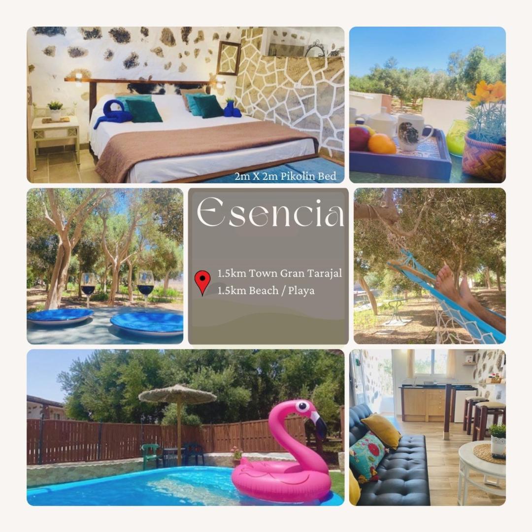 Bungalow Alma #Only Adults El Charco  Eksteriør billede